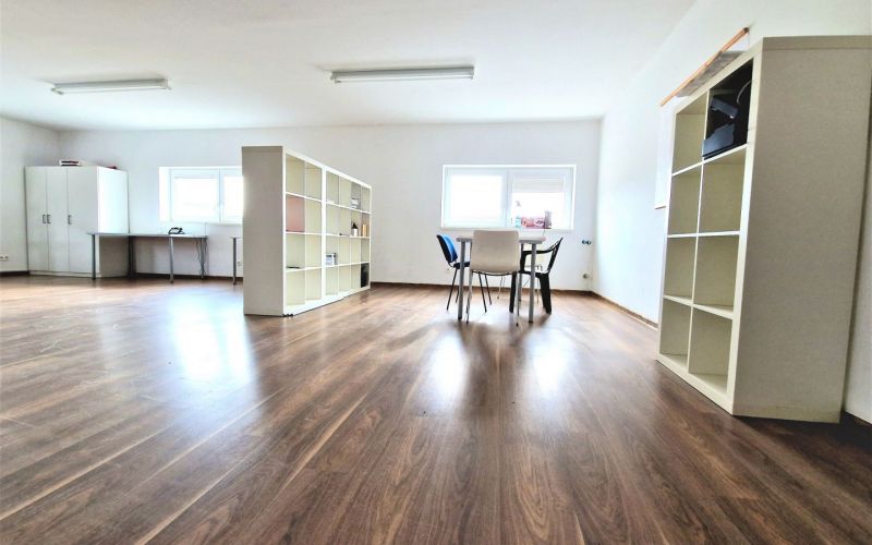 Predaj výnimočného ovocného sadu na južnom Slovensku v obci Zalaba (okres Levice).