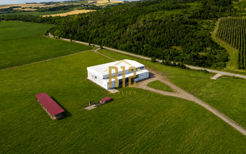 Predaj výnimočného ovocného sadu na južnom Slovensku v obci Zalaba (okres Levice).